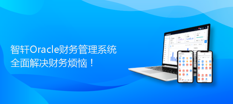 Oracle财务管理系统